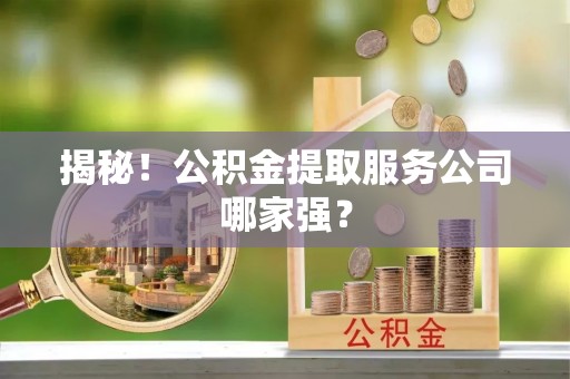 巴音郭楞揭秘！公积金提取服务公司哪家强？