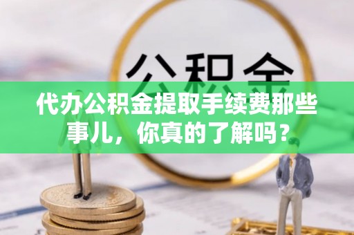 巴音郭楞代办公积金提取手续费那些事儿，你真的了解吗？