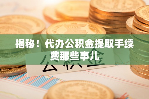 巴音郭楞揭秘！代办公积金提取手续费那些事儿