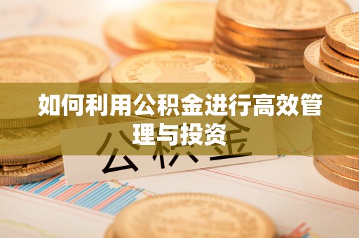 巴音郭楞如何利用公积金进行高效管理与投资